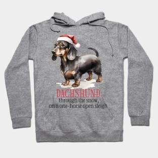 Dachshund Through The Snow Pun Hoodie